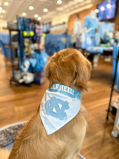 Carolina Reversible Jersey Style Dog Bandana - Lifestyle View - Pets First