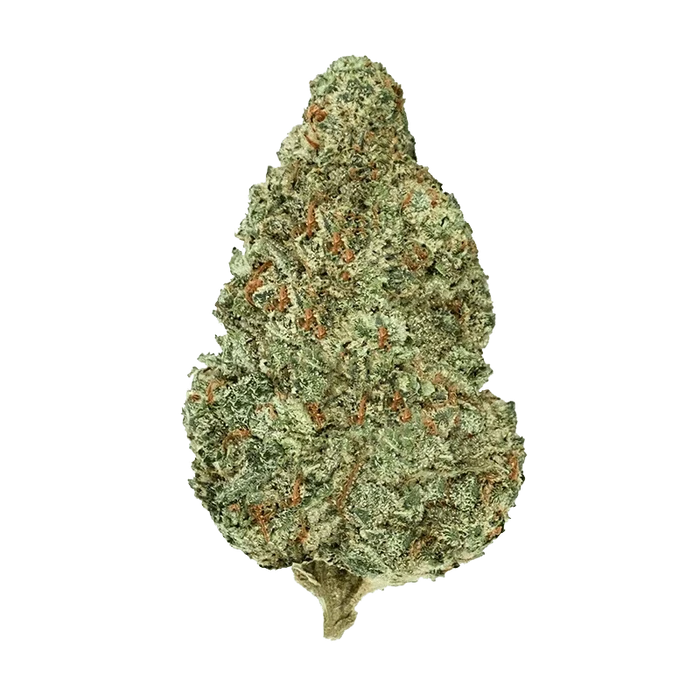 Top-down close-up of a single frosty green bud of Chemzilla centered on a plain background.