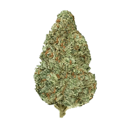 Top-down close-up of a single frosty green bud of Chemzilla centered on a plain background.