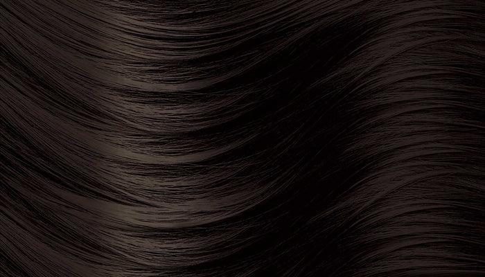CIELO Hair Color Cream - 6 Darkest Brown Hair Swatch