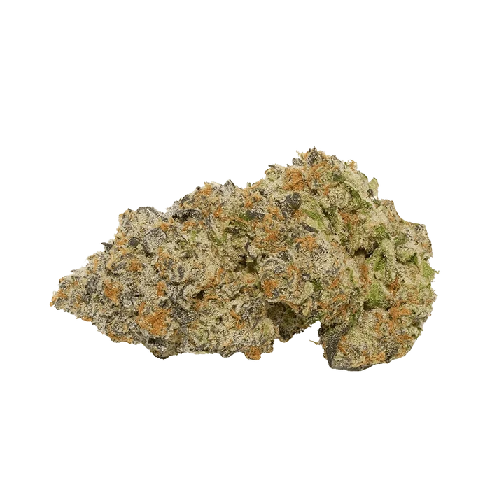 Close-up of a single nugget of Coffee Creamer showing frosty trichomes, orange pistils, and green leaf details against a plain background