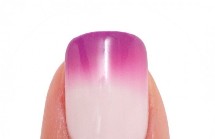 MPML20 - Lavender Blooms