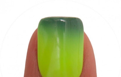 MPML22 - Shamrock