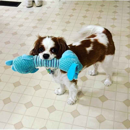 Dog Plush Toy