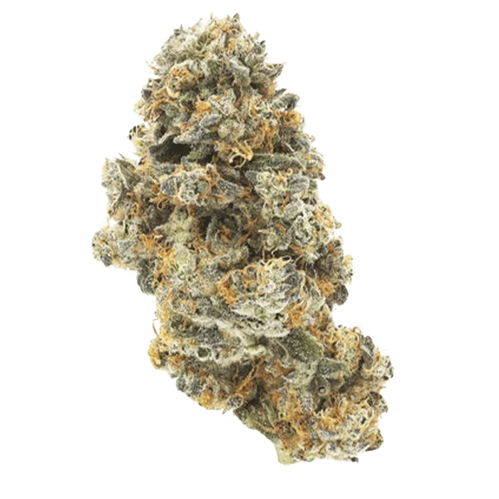Close-up front view of a frosty, orange-haired Double Baked Cake cannabis bud against a plain white background