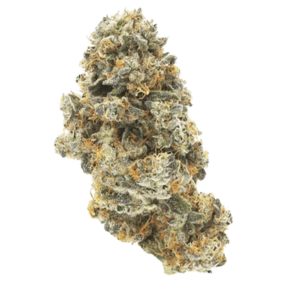 Close-up front view of a frosty, orange-haired Double Baked Cake cannabis bud against a plain white background