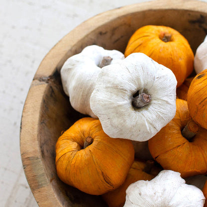 Dried Miniature Faux Pumpkins (bag of 15)