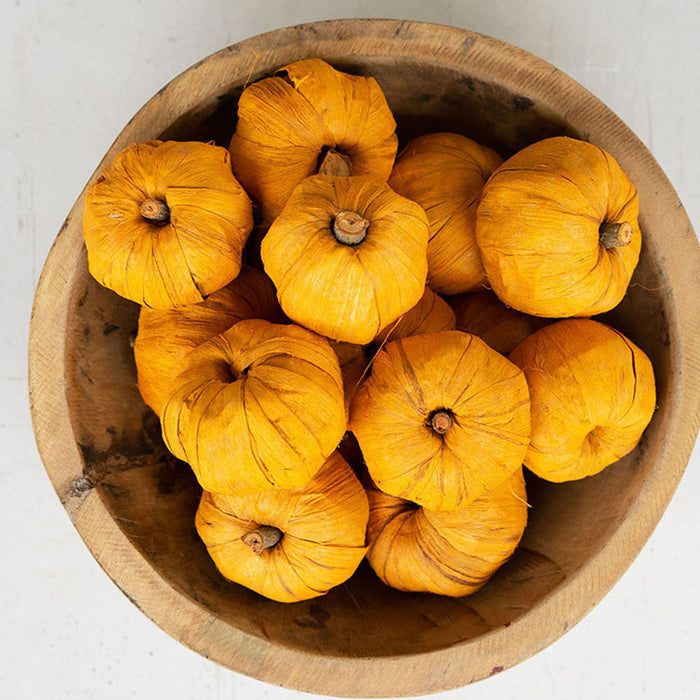 Dried Miniature Faux Pumpkins (bag of 15)