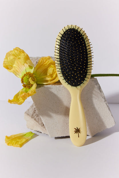 Fan Palm Wet Brush Medium Sunshine