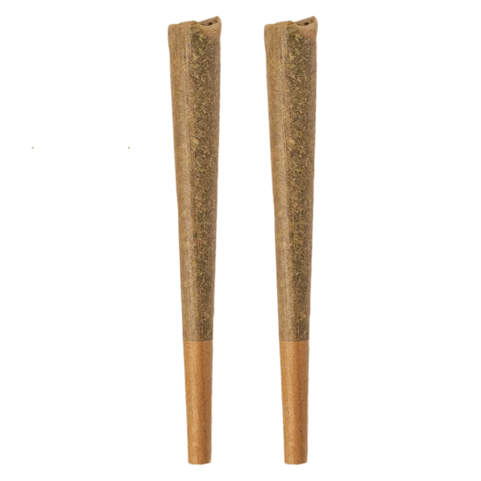 Top-down view of two brown Glazed Indica PR 2 x 1 g pre-rolled cones standing side by side on a plain background.