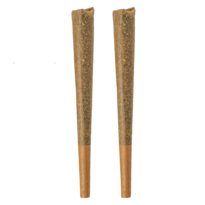 Top-down view of two brown Glazed Indica PR 2 x 1 g pre-rolled cones standing side by side on a plain background.
