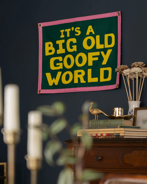 It's a big old goofy world camp flag by John Prine x Oxford Pennant sold by Le Monkey House