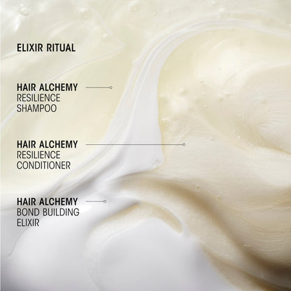 Hair Alchemy Resilience Shampoo