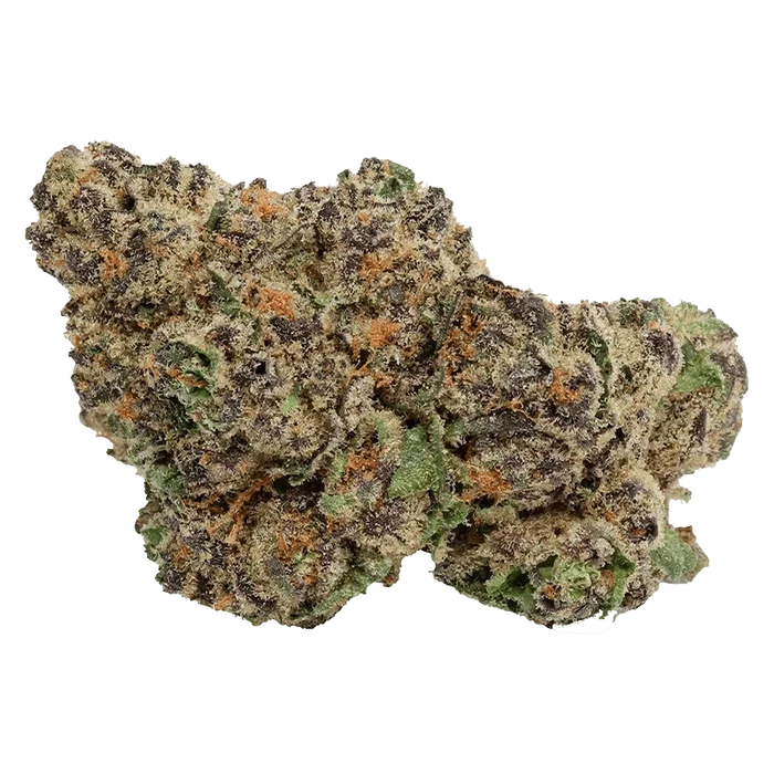 Close-up of a frosty bud of Hawaiian Marker showing dense green, purple, and orange trichome-covered nugs against a plain background.