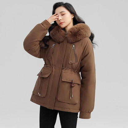 Brown / L
