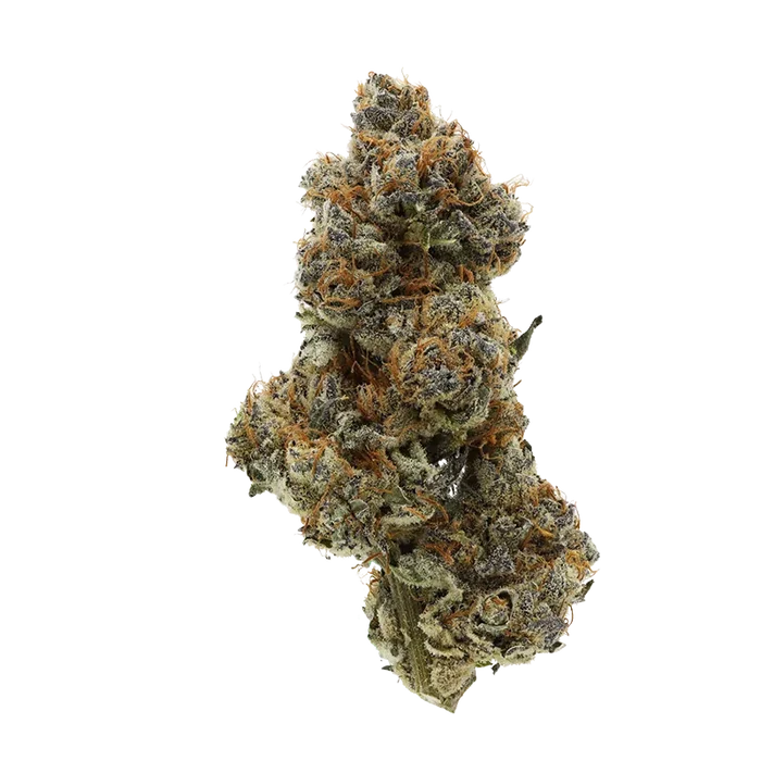 Jolly Boys 7 g Kim's Sweet Diesel Flower