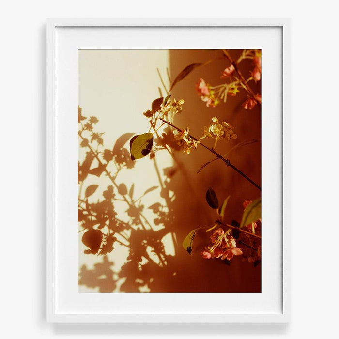 Kissed , Photograph by Kissed Tappan