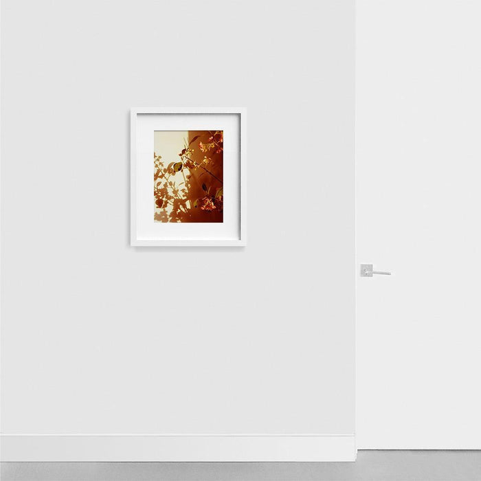Kissed , Photograph by Kissed Tappan