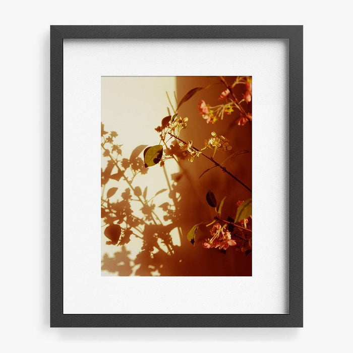 Kissed , Photograph by Kissed Tappan