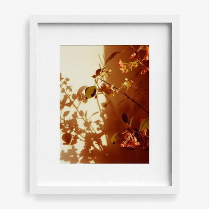16 x 12 inches | Edition of 10 / White / Matted
