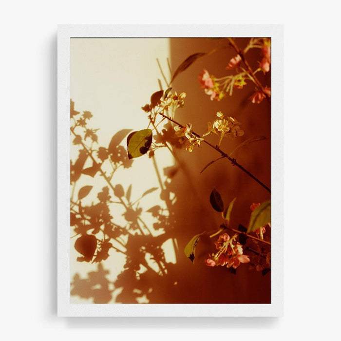 16 x 12 inches | Edition of 10 / White / Full Bleed