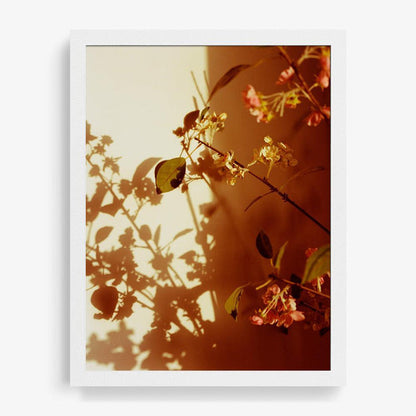 16 x 12 inches | Edition of 10 / White / Full Bleed