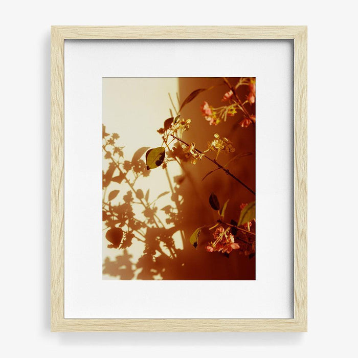 16 x 12 inches | Edition of 10 / Natural / Matted
