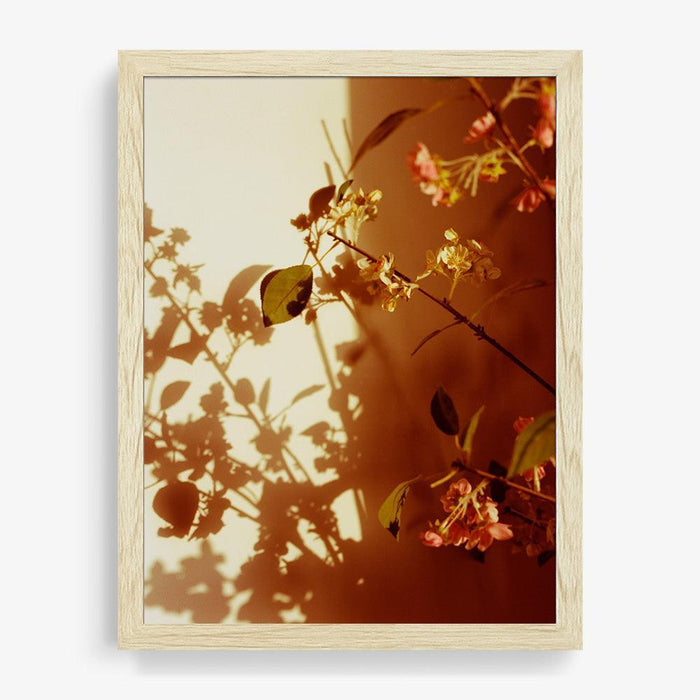 16 x 12 inches | Edition of 10 / Natural / Full Bleed