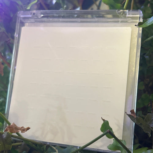 Lash Adhesive Strips - Clear
