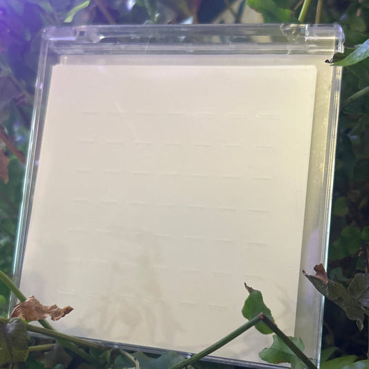 Lash Adhesive Strips - Clear