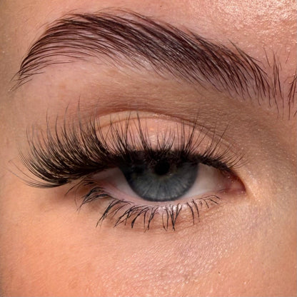L.O.T.D  Faux Mink Unicorn Lashes - Unicorn Cosmetics
