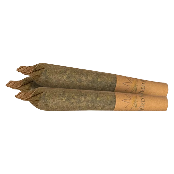 Close-up of two Maple RNTZ PR 3 x 0.5 g pre-rolls side by side on a plain background, twisted tips and brown crutch visible.