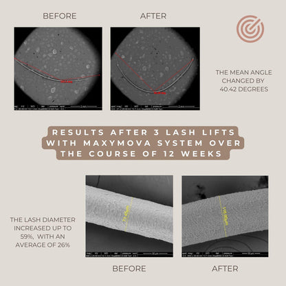 Maxymova Lash Lift and Brow Lamination Sample - The Beauty House Shop