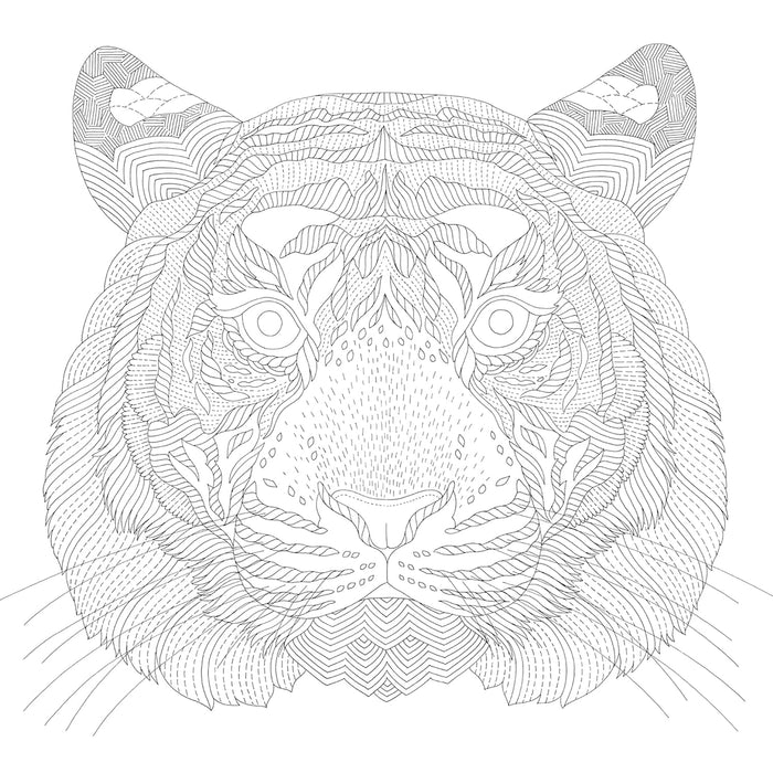Millie Marotta's Animal Adventures Coloring Book