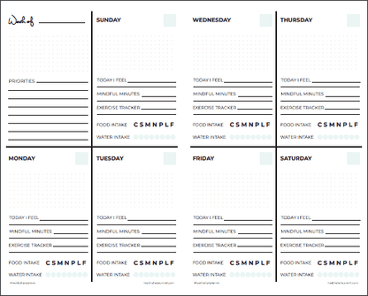 Haircare Routine Planner