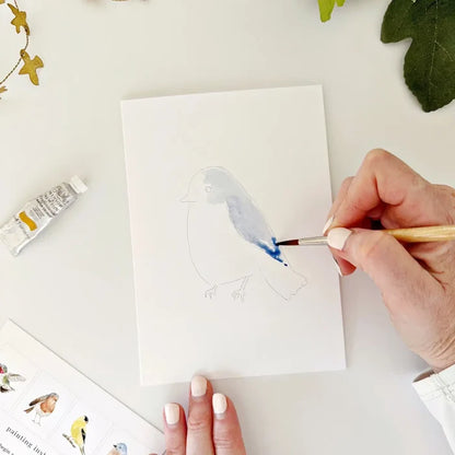 Paintable Birds Notecards