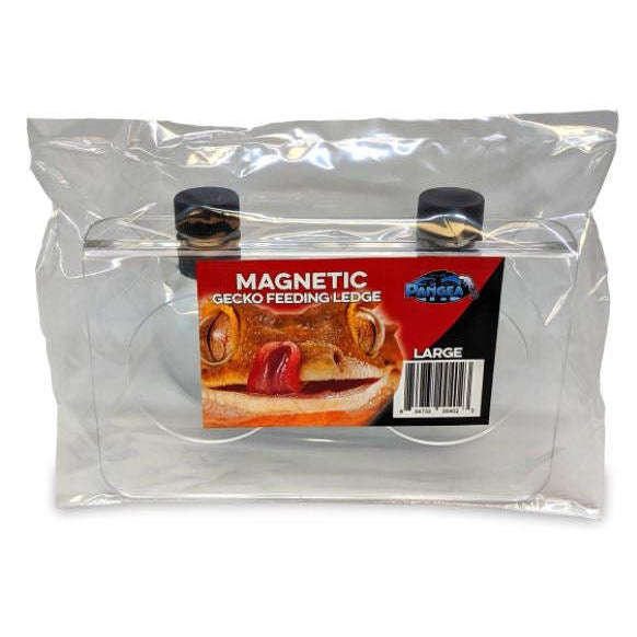 Pangea Magnetic Gecko Feeding Ledge  Large 6.5"x3.75":Jungle Bob's Reptile World