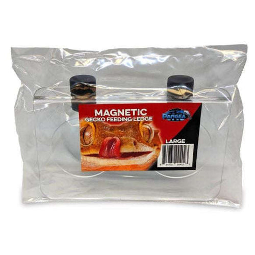 Pangea Magnetic Gecko Feeding Ledge  Large 6.5"x3.75":Jungle Bob's Reptile World