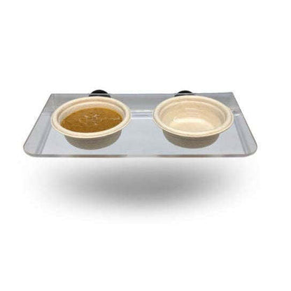 Pangea Magnetic Gecko Feeding Ledge  Large 6.5"x3.75":Jungle Bob's Reptile World
