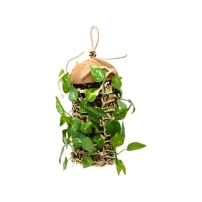 Penn-Plax Coconut Climber for a Variety of Lizards