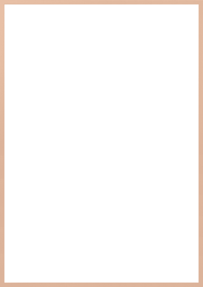 A1 (59,4x84,1 cm)