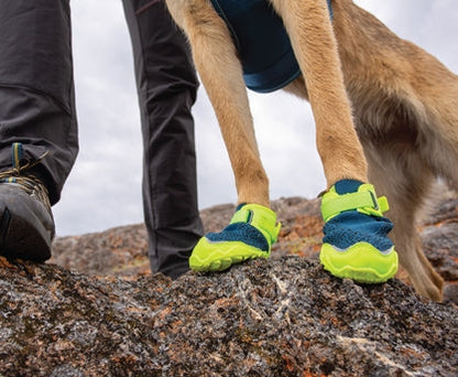 RC Pets Apex Boots - Dog.Dog.Cat.