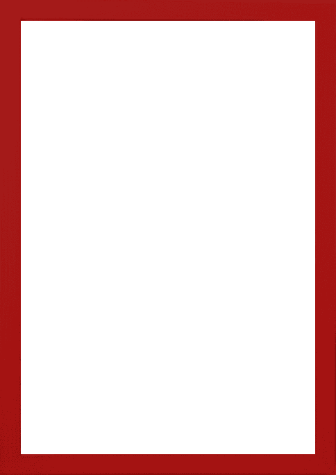 A4 (21x29,7 cm)