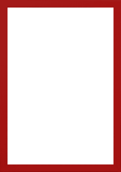 A4 (21x29,7 cm)