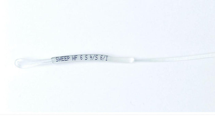 RIO Premier Fathom Cleansweep fly line - detail view
