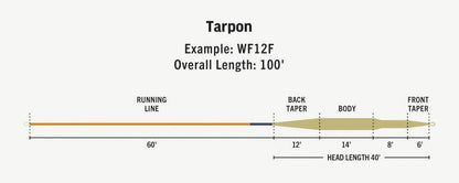 RIO Premier Tarpon saltwater fly line - detail view