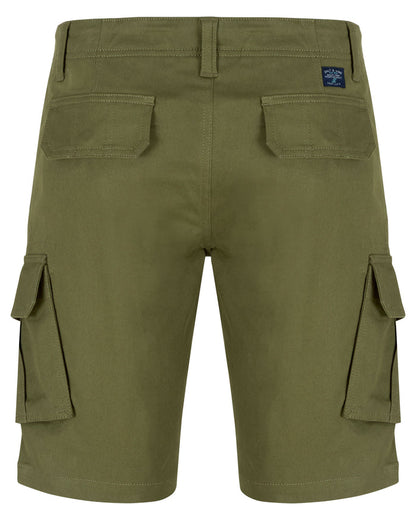 Salt & Lime Carbon Shorts