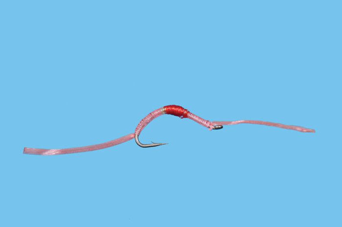 Solitude Flossy Worm (N145) 6-Pack