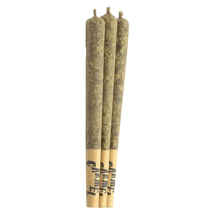 Three pre-rolled joints photographed upright on a white background, labeled "Straight Cash Homie PR 3 x 0.5 g" at the paper tips.