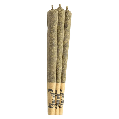 Three pre-rolled joints photographed upright on a white background, labeled "Straight Cash Homie PR 3 x 0.5 g" at the paper tips.